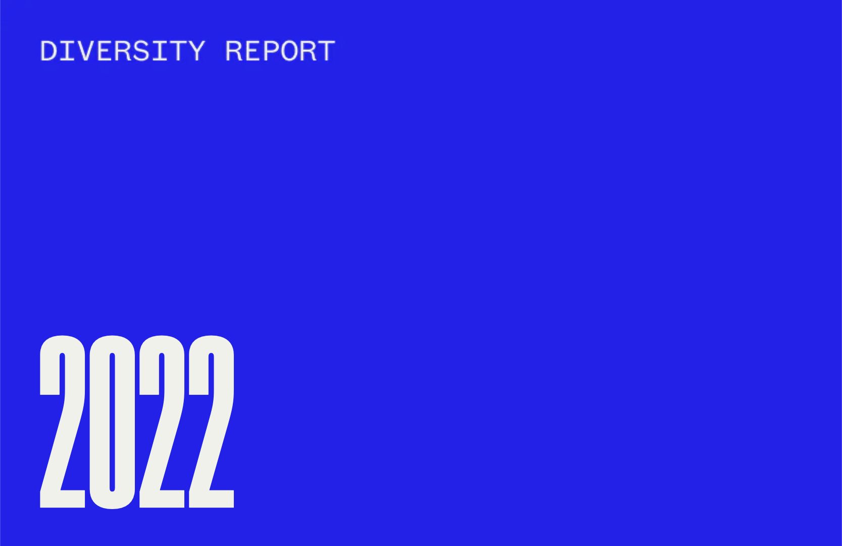 2022 diversity report